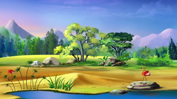 Red Flamigno in Africa on a sunny day alt