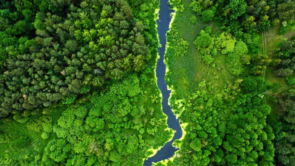 Top view of green algae on river in spring, Poland alt