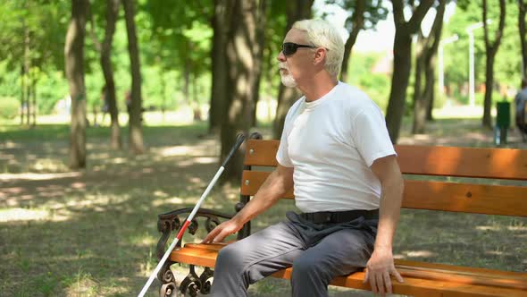 Old Blind Man Finding Long Cane on Bench, Walking in Park Independent, Rest alt