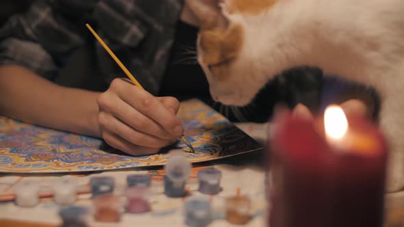 Beautiful Girl Draws a Mandala in a Room with a Ginger Cat
