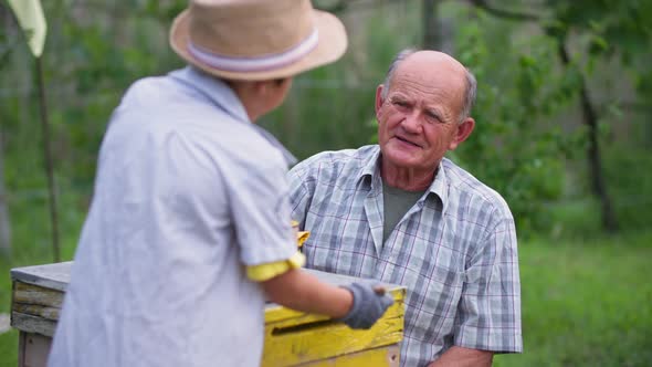 Beekeeping Elderly Beekeeper with His Grandson Paint Hives for Bees with Yellow Paint Then Give Each alt