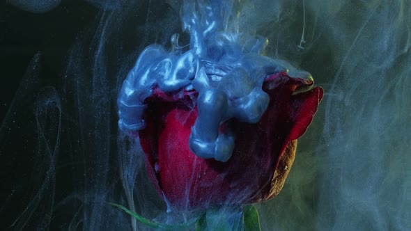 Flower Ink Splash Faded Denim Blue Vapor Motion alt