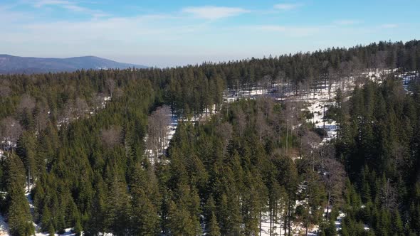 Aerial view of one of the hills in Mt. Durmitor in Montenegro which are covered by trees alt