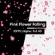 Cherry Blossom Pink Flower Falling with Alpha - VideoHive Item for Sale