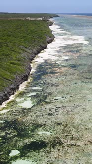 Vertical Video of Low Tide in the Ocean Near the Coast of Zanzibar Tanzania alt