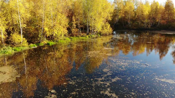Rise Above Russian Autumn Landscape with Birches and Pond