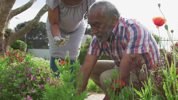 Animation of african american senior couple gardening, planting flowers alt