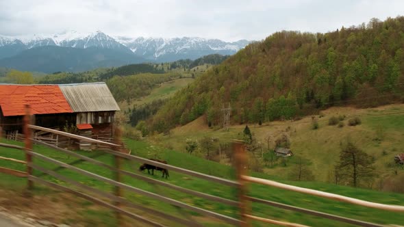 Beautiful Pastoral Landscape alt