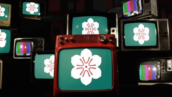 Flag Of Saga Prefecture, Japan, and Retro TVs. alt