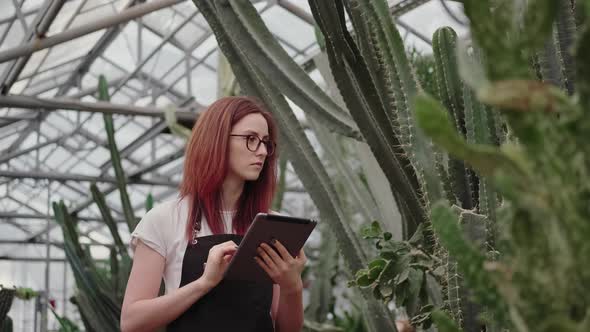 Botanist in a Cactus Greenhouse Inspects Plants and Enters Data
