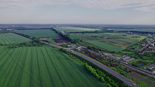 Drone Flying Over a Cornfield During Summer alt