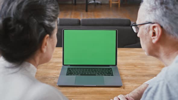 Back View of Elderly Spouses Looking at Green Screen of Notebook and Talking to Someone Using Online alt