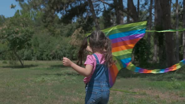 A Child with a Kite. alt