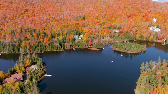 4K camera drone captures stunning autumn foliage colors while flying backwards over the lake.