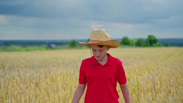 Portrait of stylish boy in hat walking in field of wheat alt