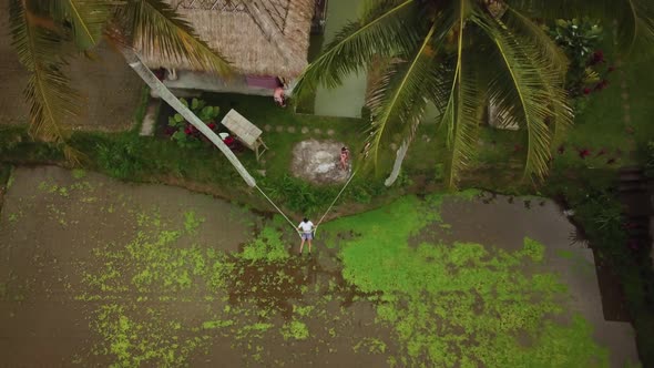 Drone Shot of a tourist enjoying a swing between two coconut trees that swings out over some Rice Te alt
