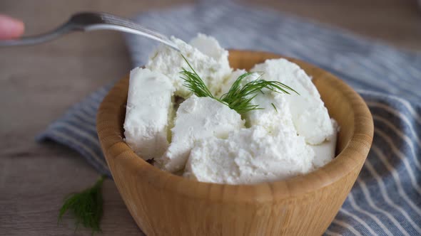 Traditional homemade salted curd cheese. Healthy and fermented food alt