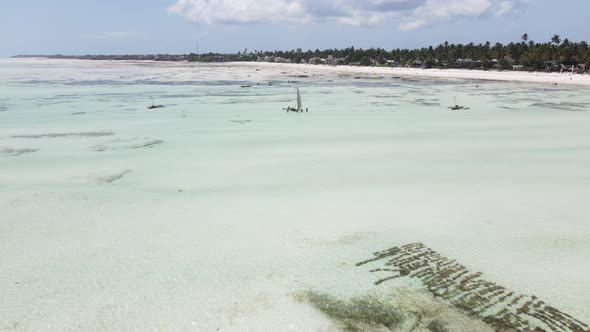 Shore of Zanzibar Island Tanzania at Low Tide Slow Motion alt