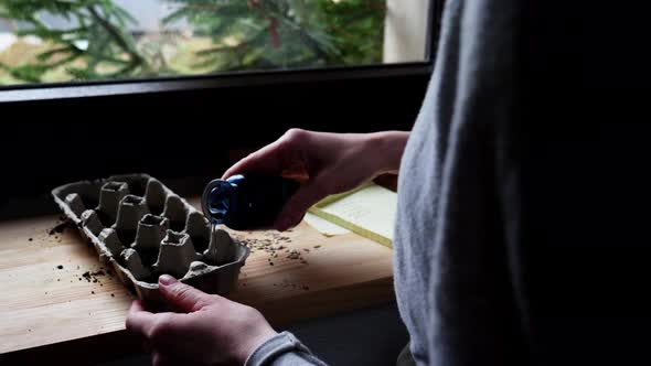 Woman notes a numbers on seeds in boxes on a windowsill alt