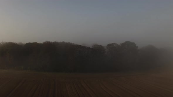 Drone Over Field And Copse Of Trees