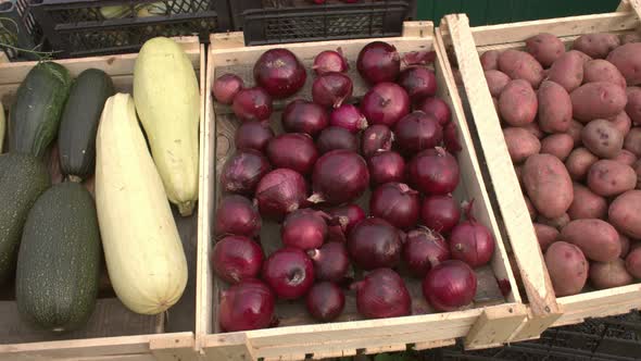Vegetables on the Market Counter. alt