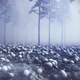Skulls Forest - VideoHive Item for Sale