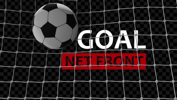 Goal Net Front