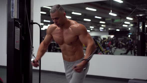 Muscular Athletic Bodybuilder Standing Training Chest Shoulders Muscles Fitness Equipment alt