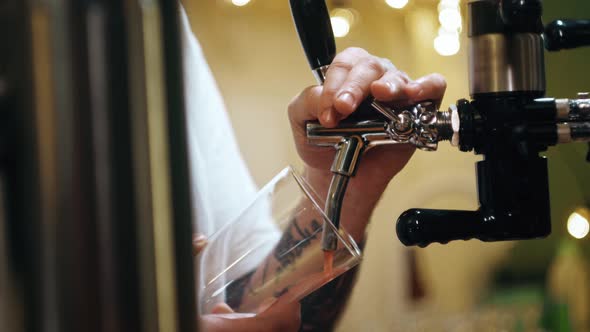 Barman Pouring Lambic Into Glass Closeup Foamy Cherry Beer alt
