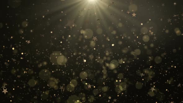 Gold Stars Celebration alt