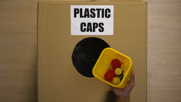 Lady Throwing Plastic Caps in Cardboard Box Collecting Reusable Material Utilize alt