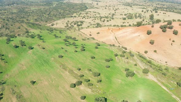 Aerial View Green Rural Landscape Alentejo