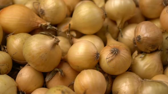 Footage White Onions Rotation Background alt