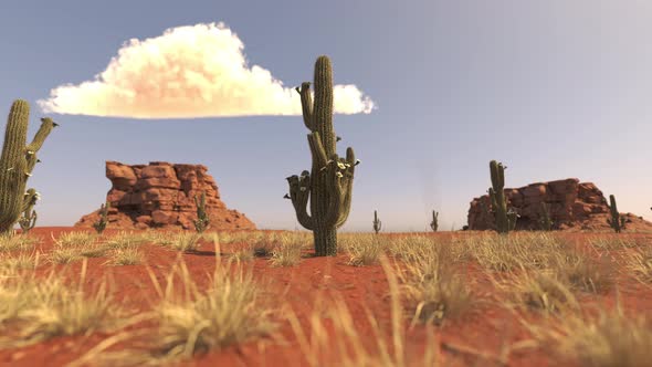 Desert Cacti And Cloud