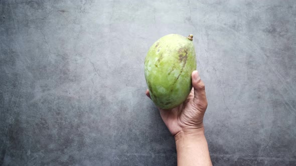 Holding a Big Size Fresh Green Mango on Black Background Top Down alt