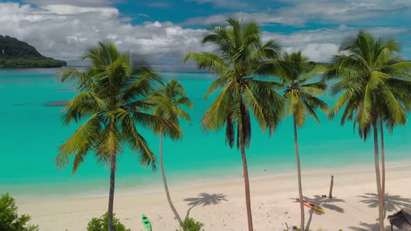 Port Orly sandy beach with palm trees, Espiritu Santo Island, Vanuatu alt