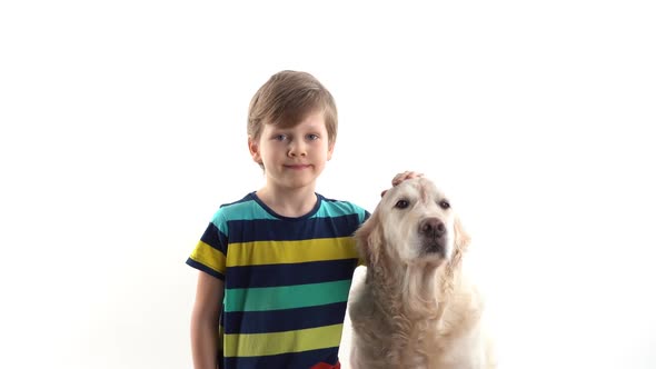 Care and Love for Pets. Little Boy in the Studio on a White Background Posing with a Golden