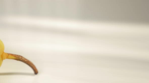 Fresh tasty pear on white surface slow panning 4K 2160p 30fps UltraHD footage - Organic pear on whit alt