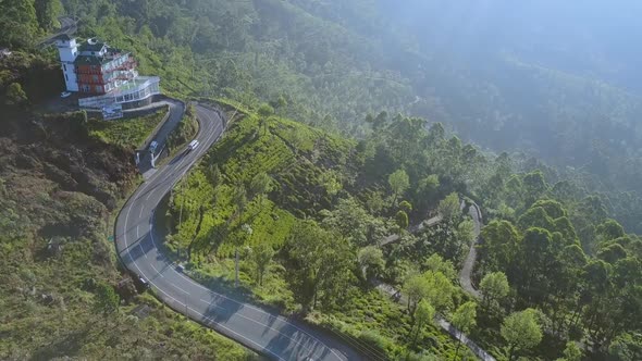 Lush Plantation and Isolated Hotel Standing By Serpentine alt