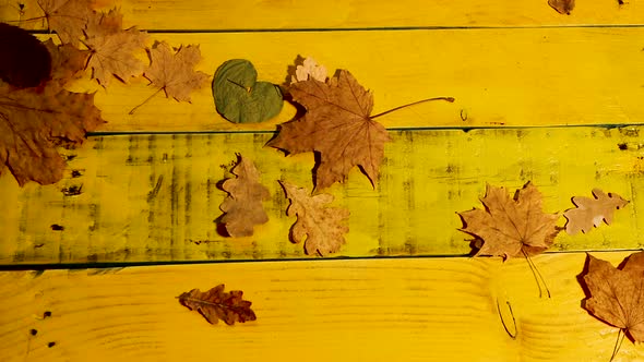 Slow Motion Of Falling Foliage On A Vintage Wooden Table. Autumn Background Copy Space Top View.