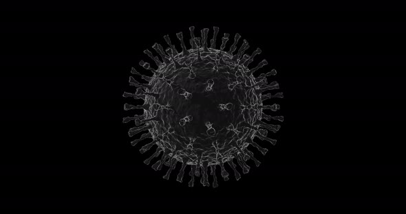 Coronaviruses, CoV, 2019-nCoV viruses.