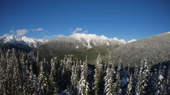 Washington Cascade Mountains Aerial Flight Over Snowy Forest Trees alt
