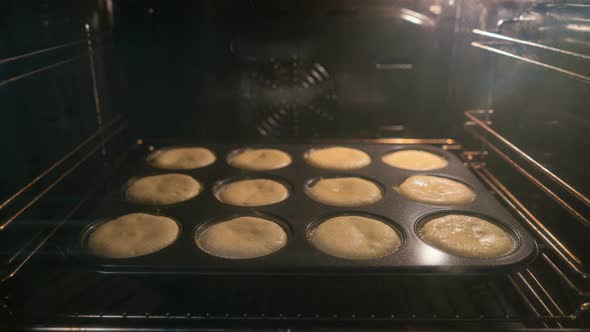 Cupcake Baking in Oven. Time Lapse of Cooking Muffins