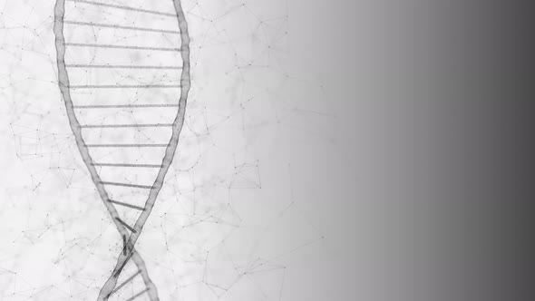 Dna helix genome testing in scientific laboratory and human code programming 4k alt