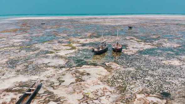 Lot of Fishing Boats Stuck in Sand Off Coast at Low Tide Zanzibar Aerial View alt