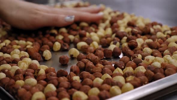 Closeup of Hazelnuts the Girl Lays Them Out with Her Hands in a Baking Dish alt