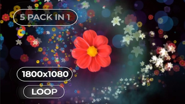 Vj Loops - The Flower alt