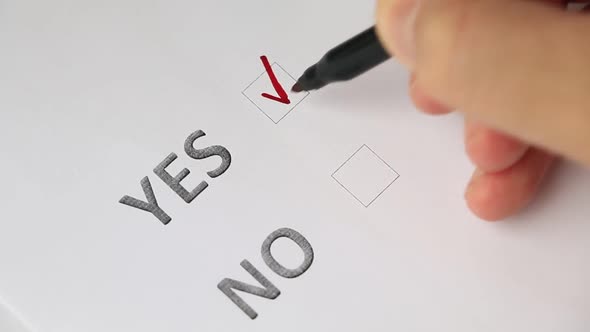 Checklist With Options Of Yes Or No (In English) - Pointing Yes