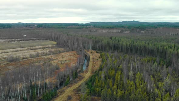 Aerial, drone shot, around a river, surrounded by leafless, autumn forest and fields, on a cold, clo alt