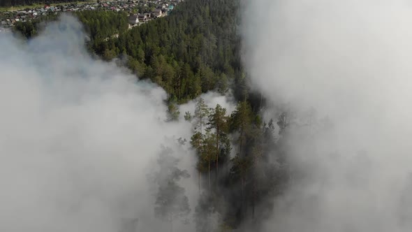 Forest Fire  Dangerous Spontaneous Natural Disaster for the Environment alt